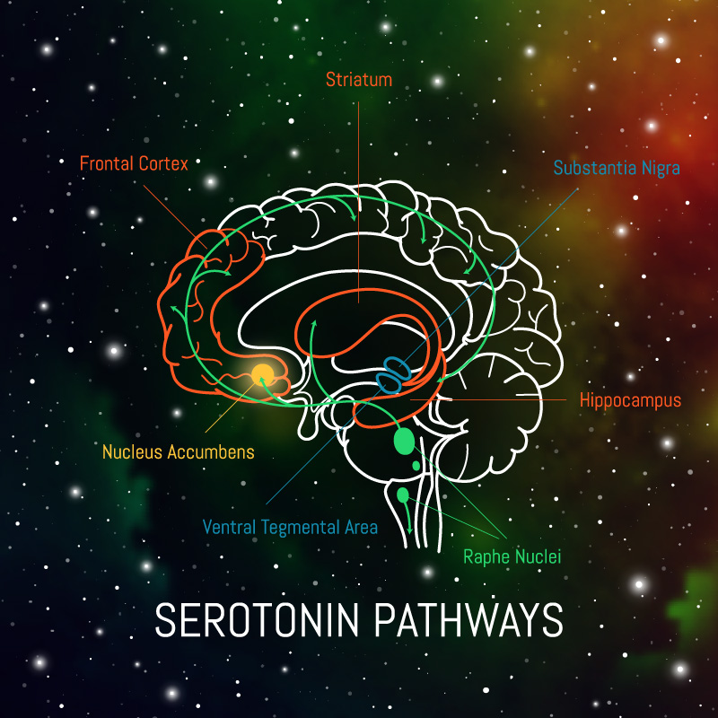 Integrative Pain Treatments can help support serotonin levels, a brain chemical that is important for sleep and mood.